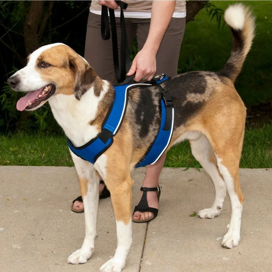 PetSafe EasySport hám EasySport fekete S