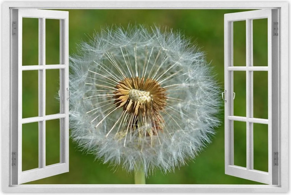 Poszterek 90x60 Pitypang Virág Virágok