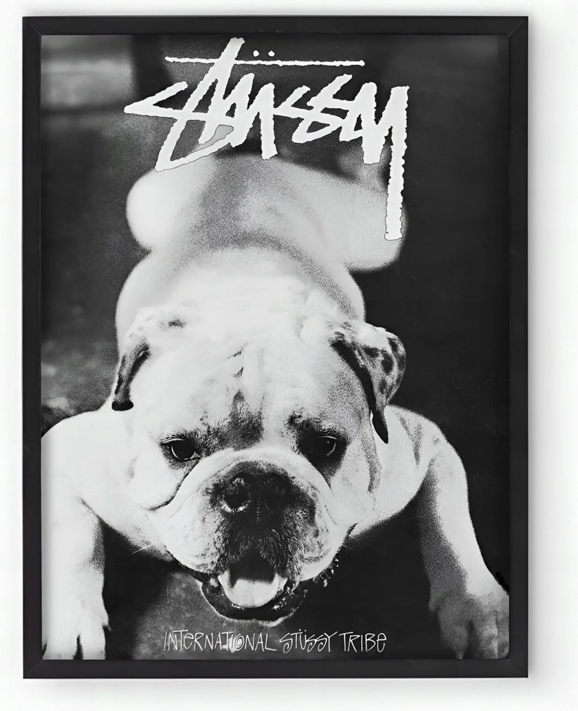 Poszter keretben Stussy Kutya 30x40 cm Ajándék ötlet