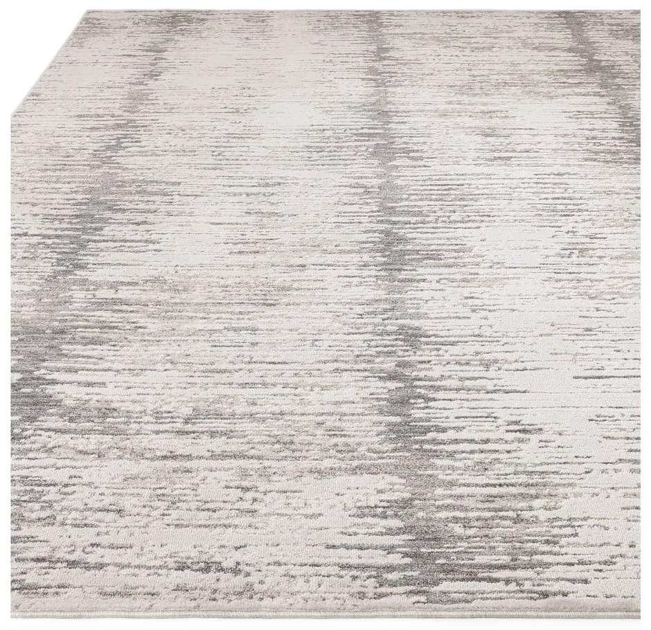 Szőnyeg 160x240 cm Anders Grey – Asiatic Carpets