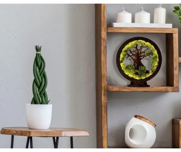 Li-Go 23604/DUB2 - Fényerőszabályozható LED asztali dekoráció LED/12W/230V 20x22 cm tölgy