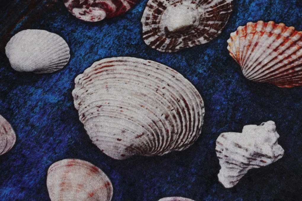 Seashell