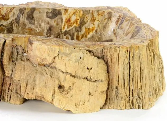 DIVERO Mosdókagyló természetes kőből - FOSSIL