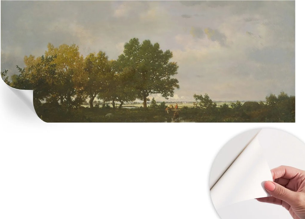 Öntapadós fali fotótapéta Hálószobába Erdei tájkép 250x104 cm