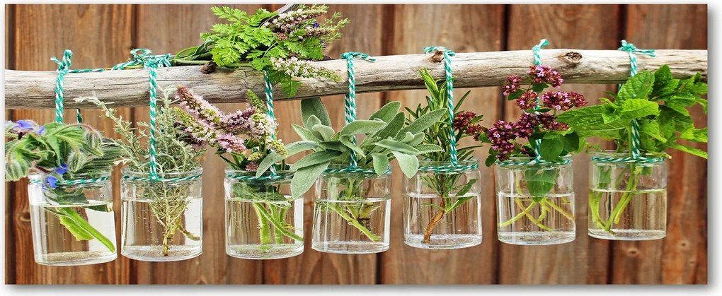 Lacobel konyhai szekrények alá Gyógynövények befőttes üvegben XXL