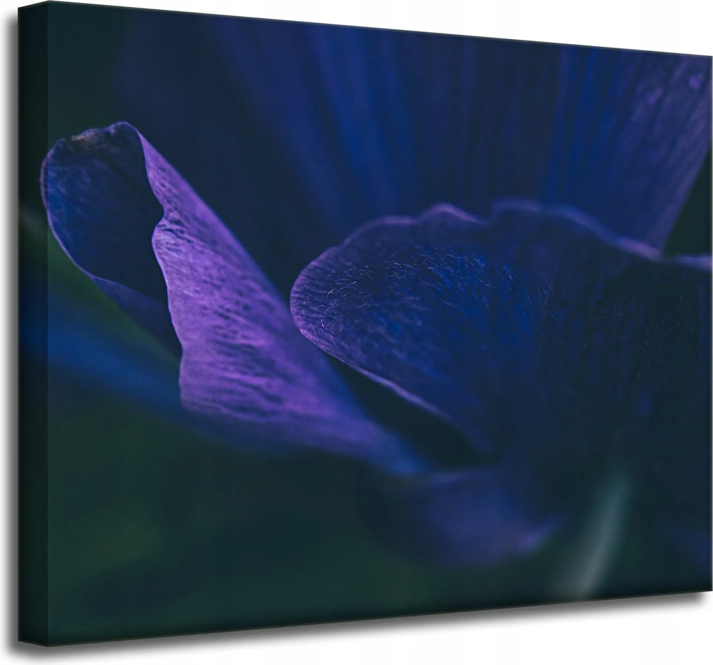 Botanika vászonkép Lila szirmok 50x40