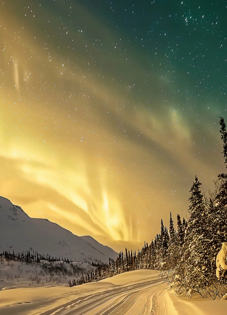 Poszter 13x18cm Északi fény Télen