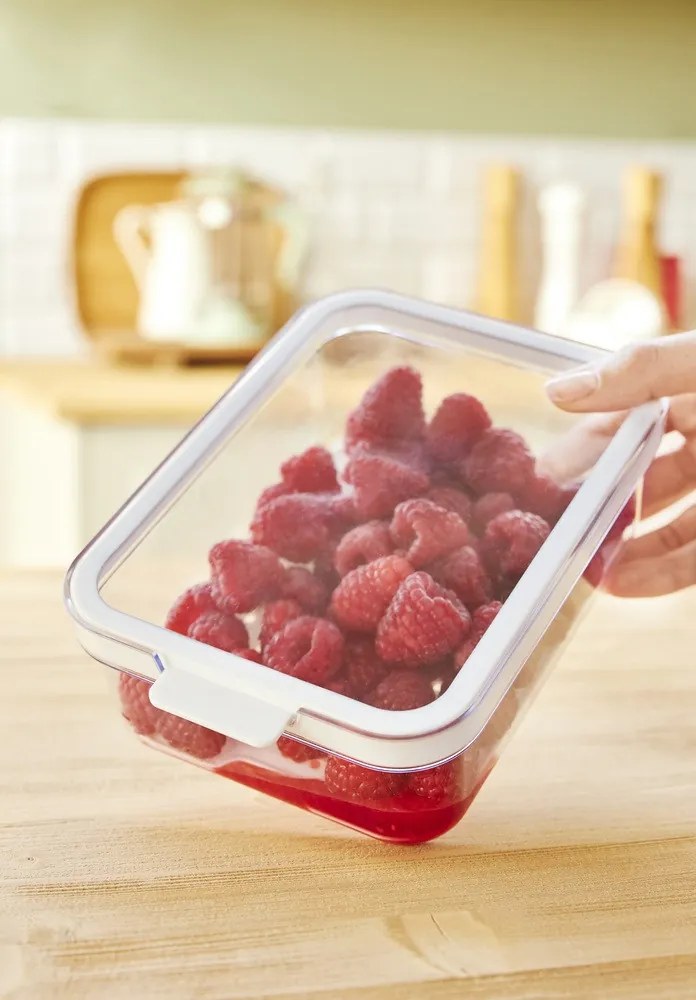 ROTHO CAUMA RENDSZEREZŐ DOBOZ HŰTŐBE, 4,65 L - ÁTLÁTSZÓ