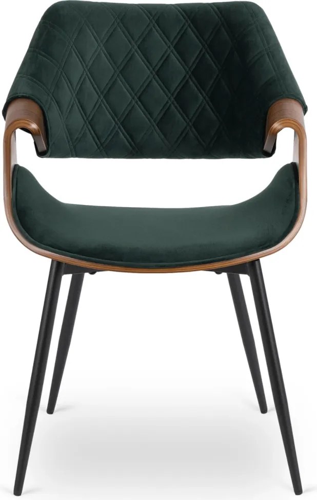 DAKOTA bársony szék zöld / dió színben
