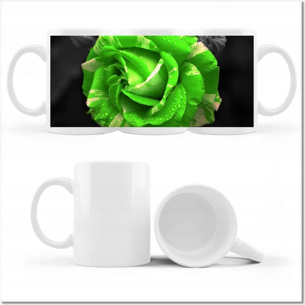 Fényképes bögre Lime rózsa