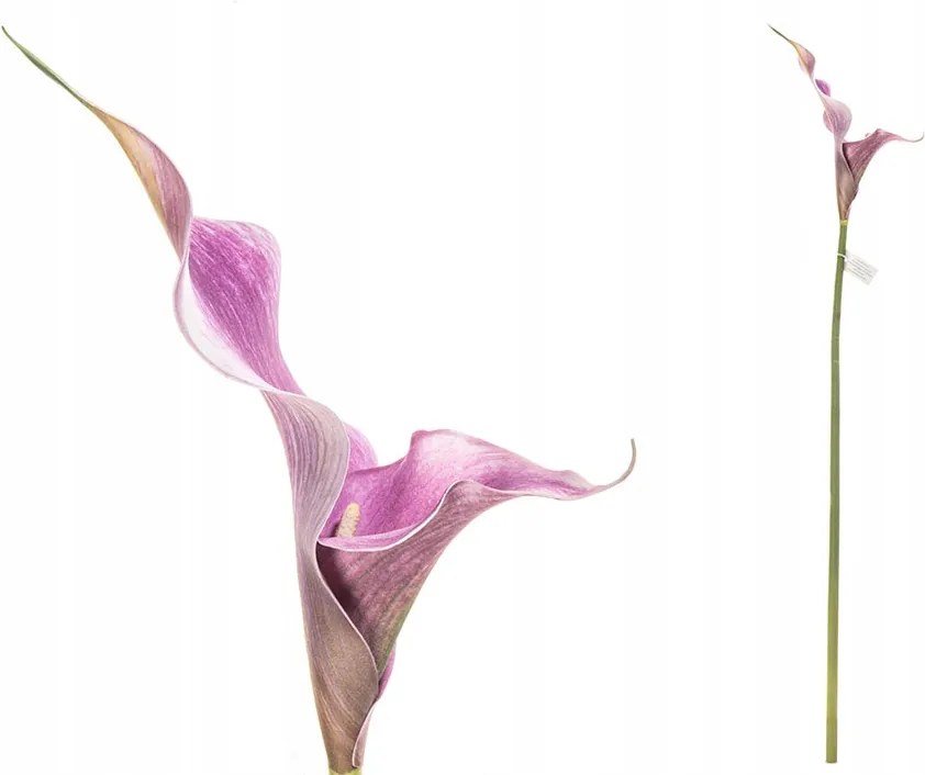 Calla művirág szimpla 68cm CH06735407LV