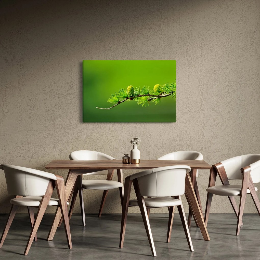 Zöld fenyőtoboz képe (90x60 cm)