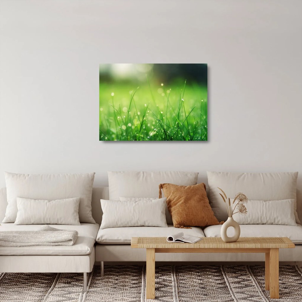 Kép - harmatos fű (üvegen) (70x50 cm)