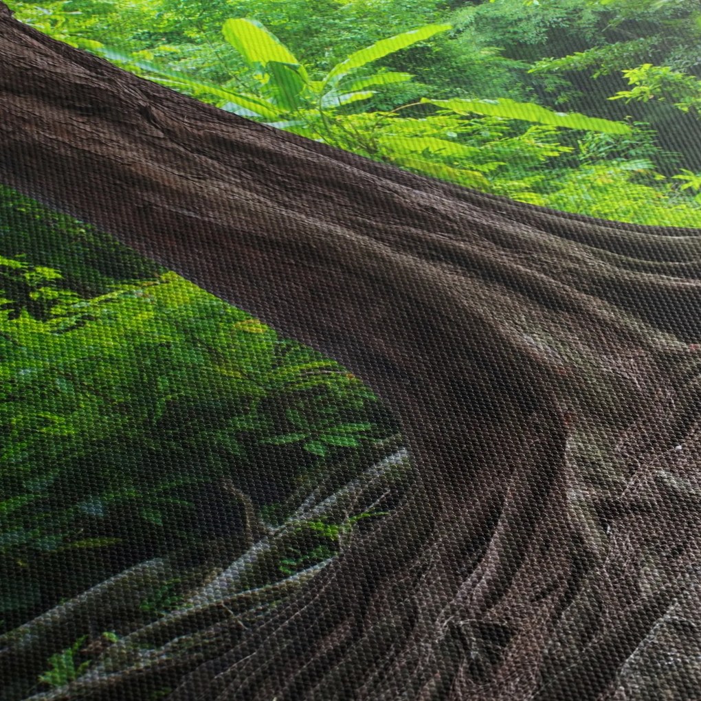Kép - Öreg fa gyökere (120x50 cm)