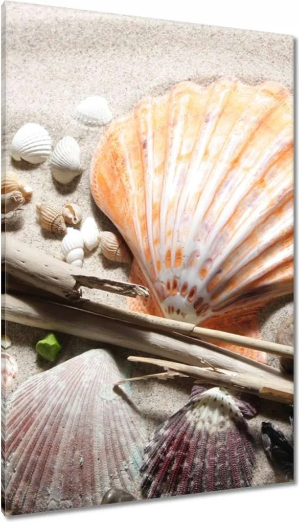 Vászonkép 80x120 Kagylók a balti tengerpartról