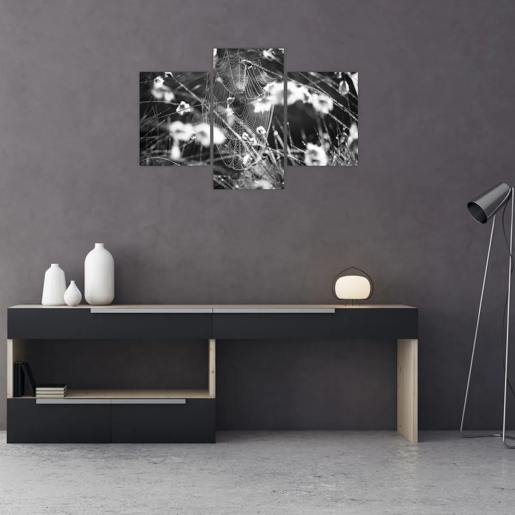 Kép - Pókháló a réten (90x60 cm)