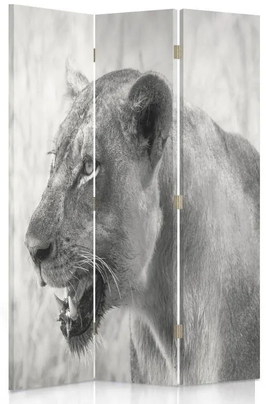 Gario Paraván Lioness Méret: 145 x 170 cm, Kivitelezés: Klasszikus paraván