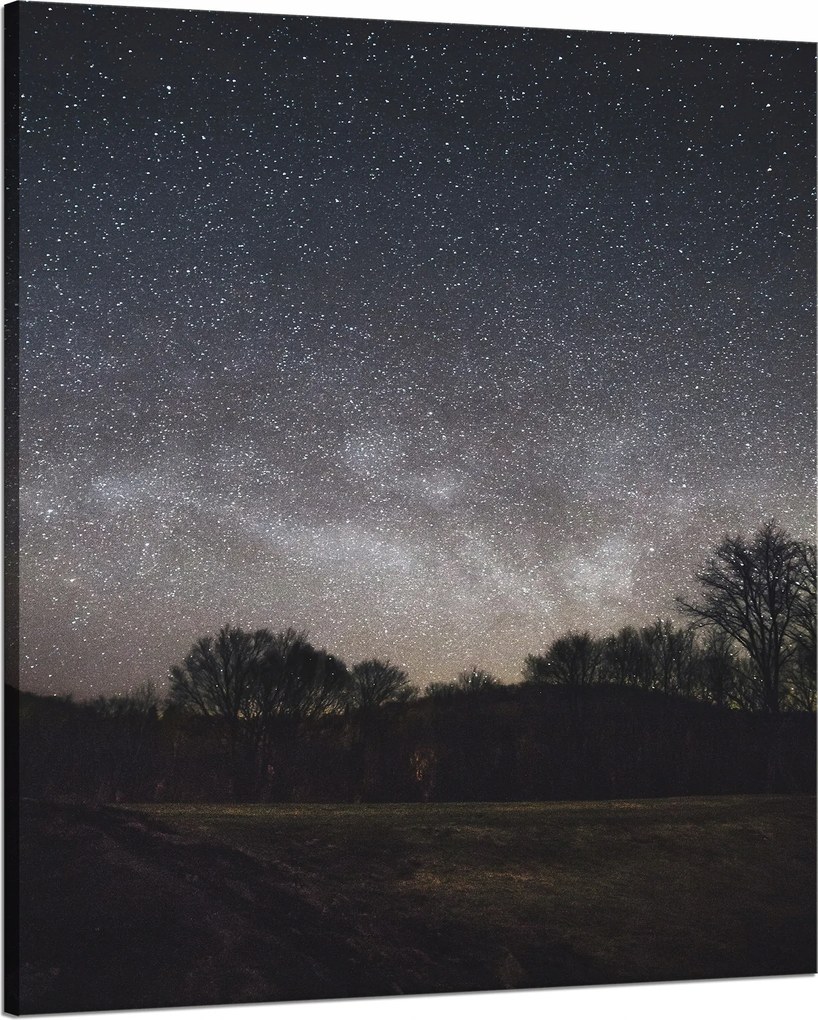 Vászonkép Kozmosz Csillagos égbolt 80x100