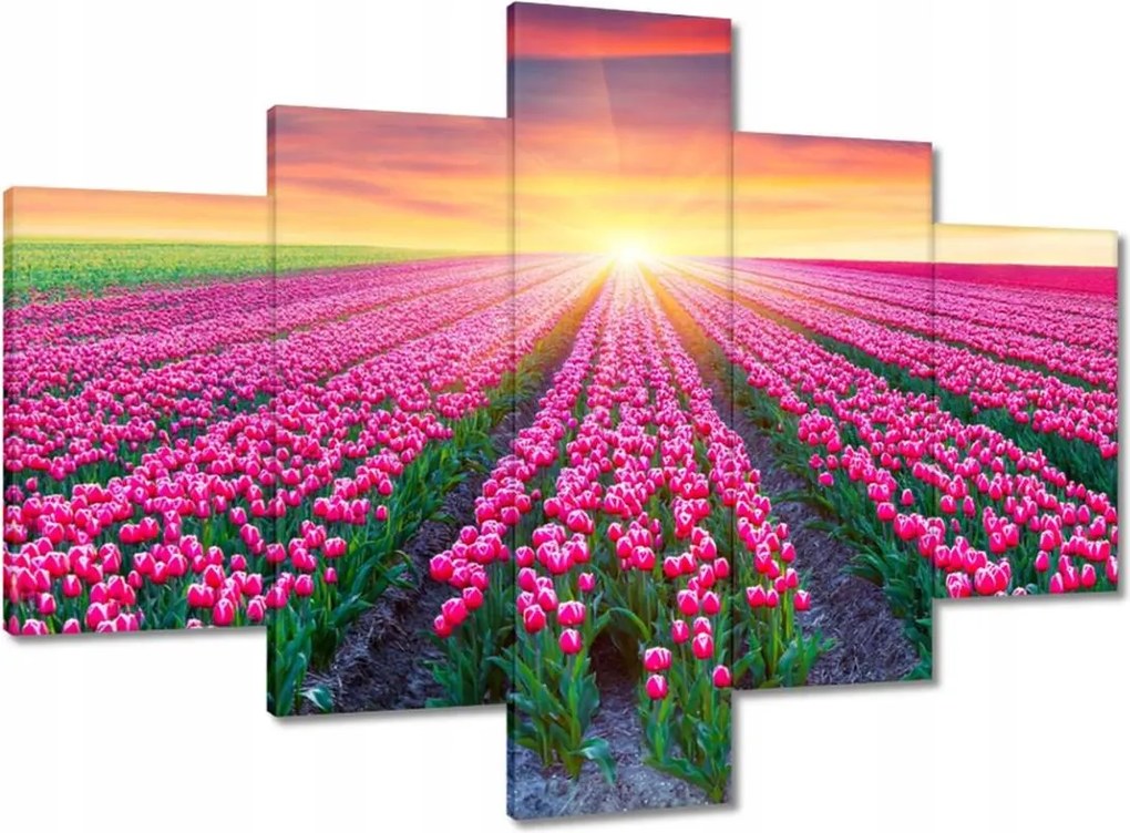 Vászonkép 100x70 Tulipánok tengere Tulipánok