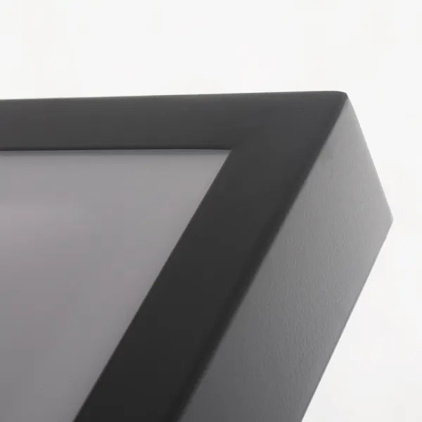 LED Mennyezeti lámpa VITALI LED/24W/230V