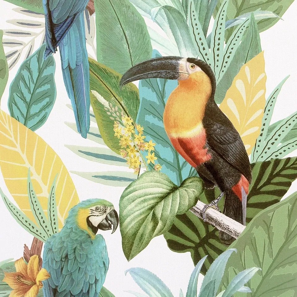 Arthouse Signature 1 Toucan Jungle színes madaras vlies tapéta – 296803