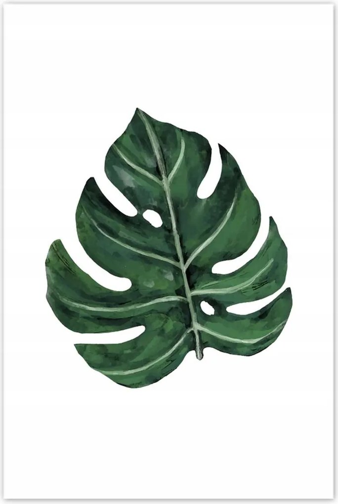 Poszterek 80x120 Monstera Zöld levél