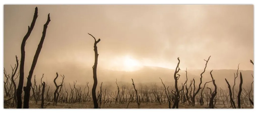 Kép - Csupasz fák (120x50 cm)