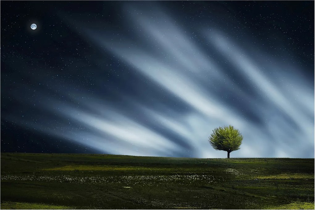 Az aurora borealis képe egy lápvidéken (90x60 cm)