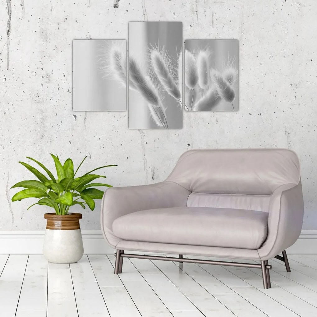 Kép - Nyuszi farok fű (90x60 cm)