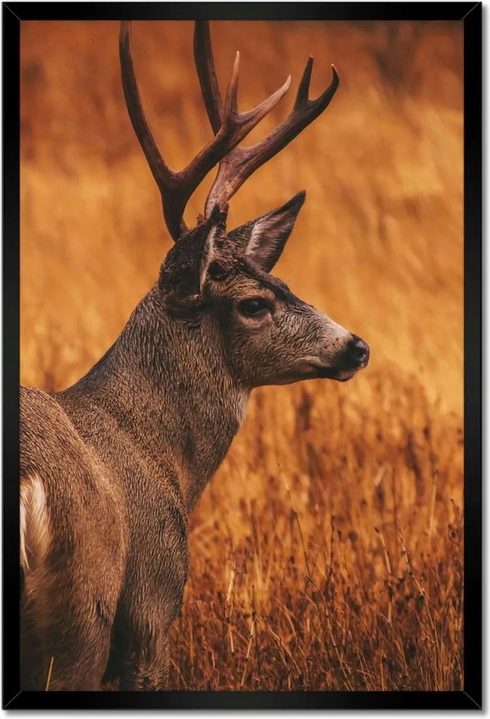 Poszterek keretben 40x60 Szarvas a természetben Vadászat