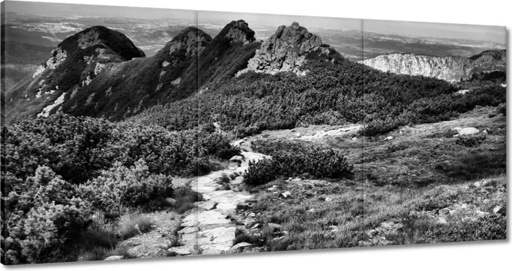 Képek 120x60 Tátra Lengyel hegyek Kilátás