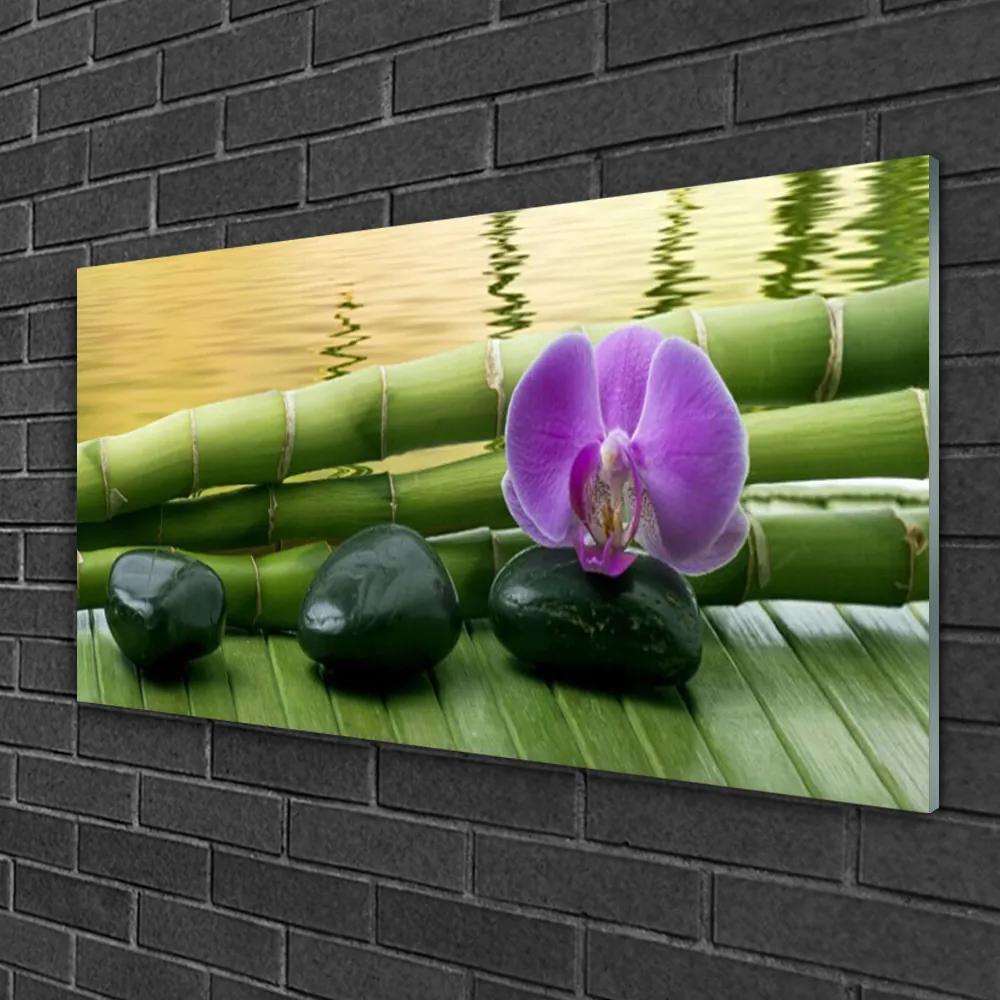 Üvegkép Virág Stones Bamboo Nature 120x60cm