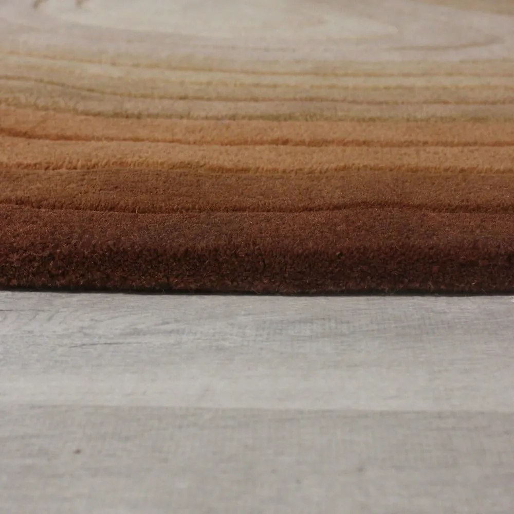 Téglavörös gyapjú szőnyeg 160x230 cm Puddle Ombre Wool – Flair Rugs