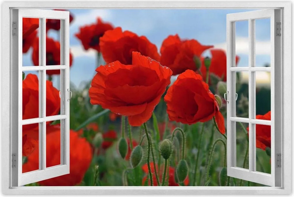 Poszterek 120x80 Mezei pipacsok az égbolt hátterében