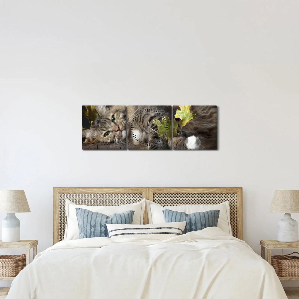 Kép - Hazudós macska (órával) (90x30 cm)