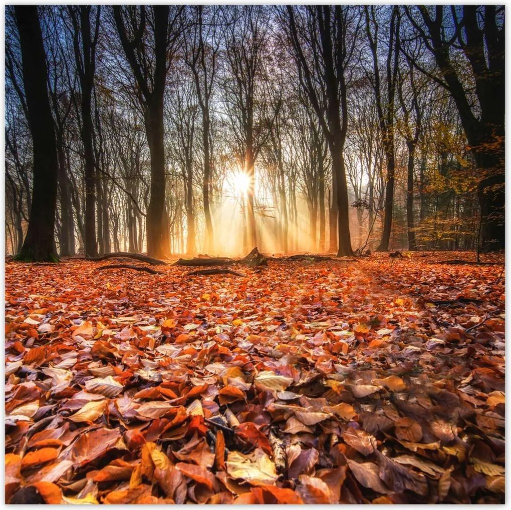 Poszterek 140x140 Őszi kilátás Tájkép