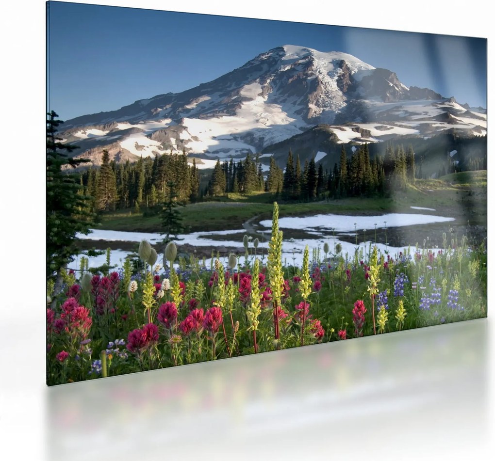 Üveg kép - Mount Rainier (70x50 cm)
