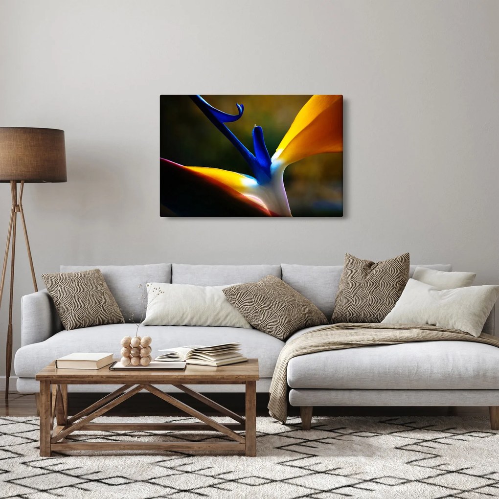 Kép - Egzotikus virág (90x60 cm)