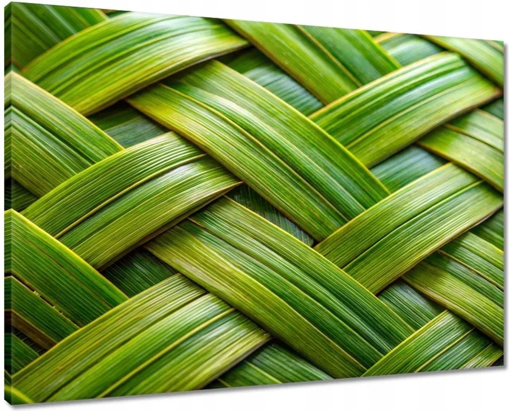 Vászonkép 70x50 Zöld fonott Zöld rattan fonott lemez