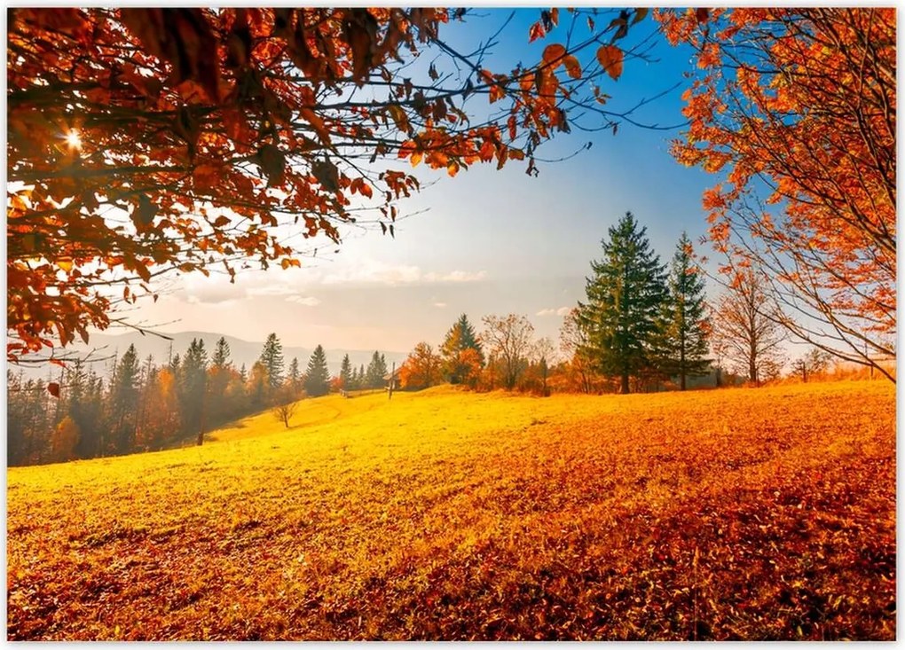 Poszterek 70x50 Őszi táj