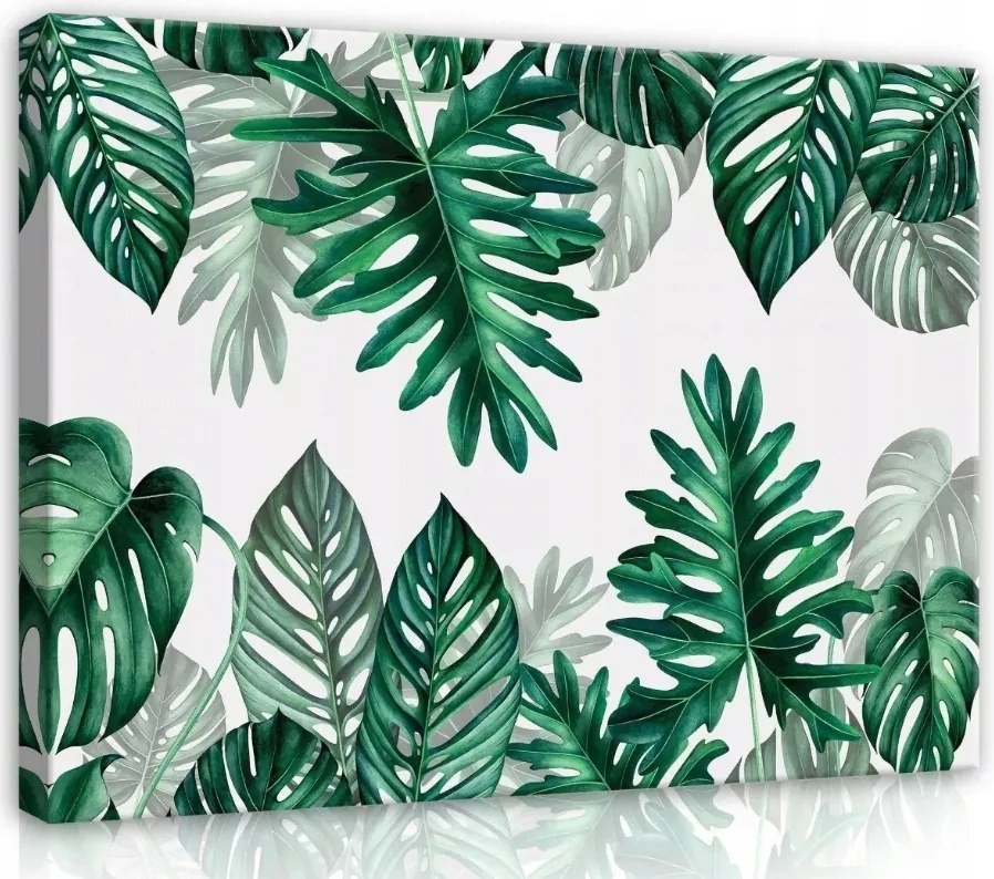 Vászonkép 80x60 Trópusi levelek zöld Monstera botanika természet frissesség