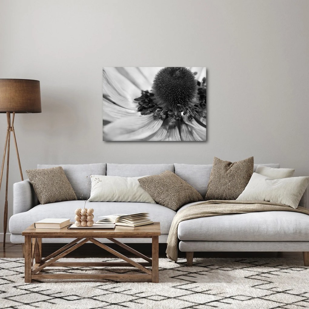 Kép - Virág fekete-fehérben (70x50 cm)