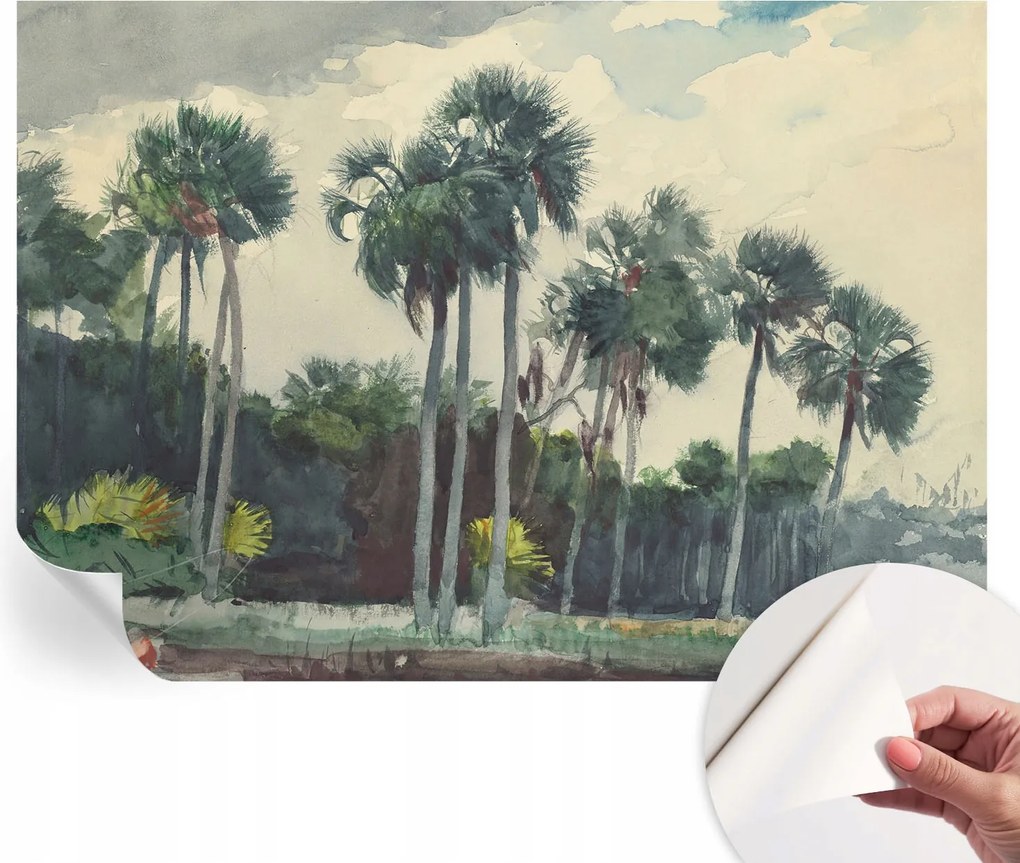 Fotótapéta Fali tapéta Hálószobába és Nappaliba Egzotikus pálmafák 312x219