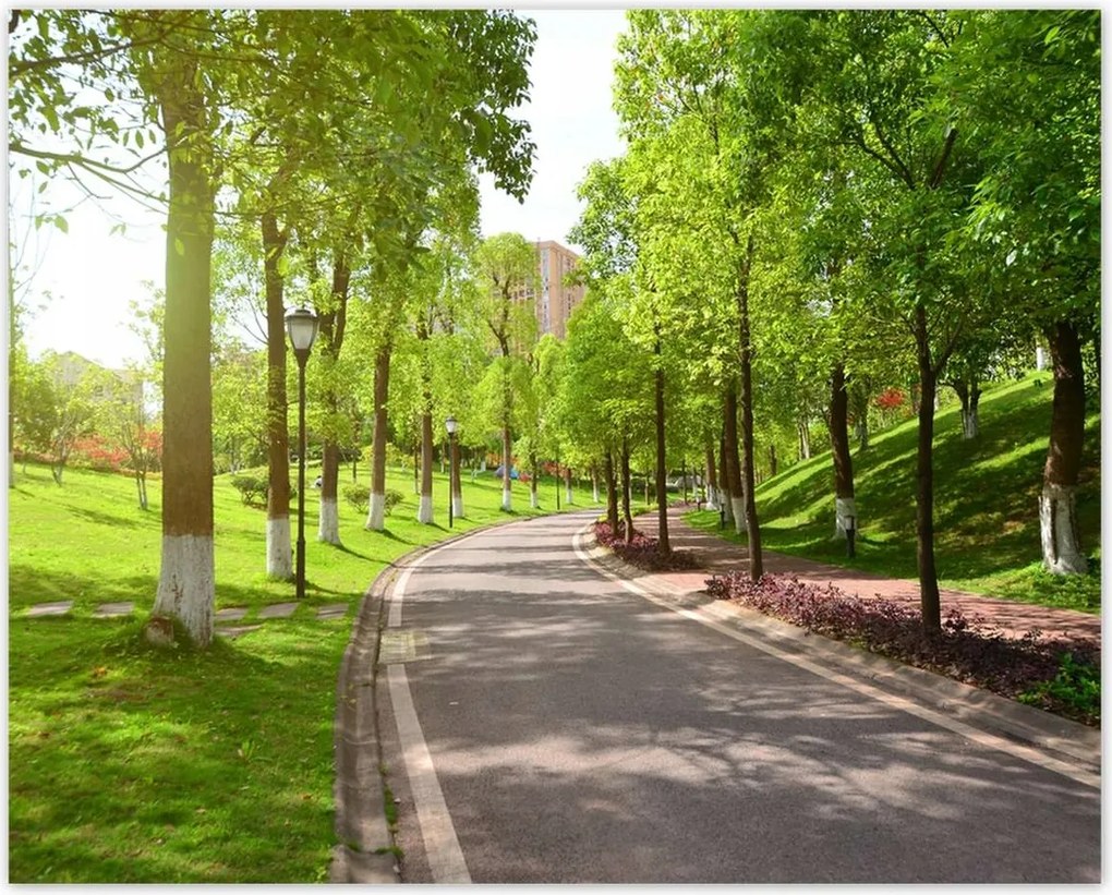 Poszterek 50x40 Ösvény a parkban természet