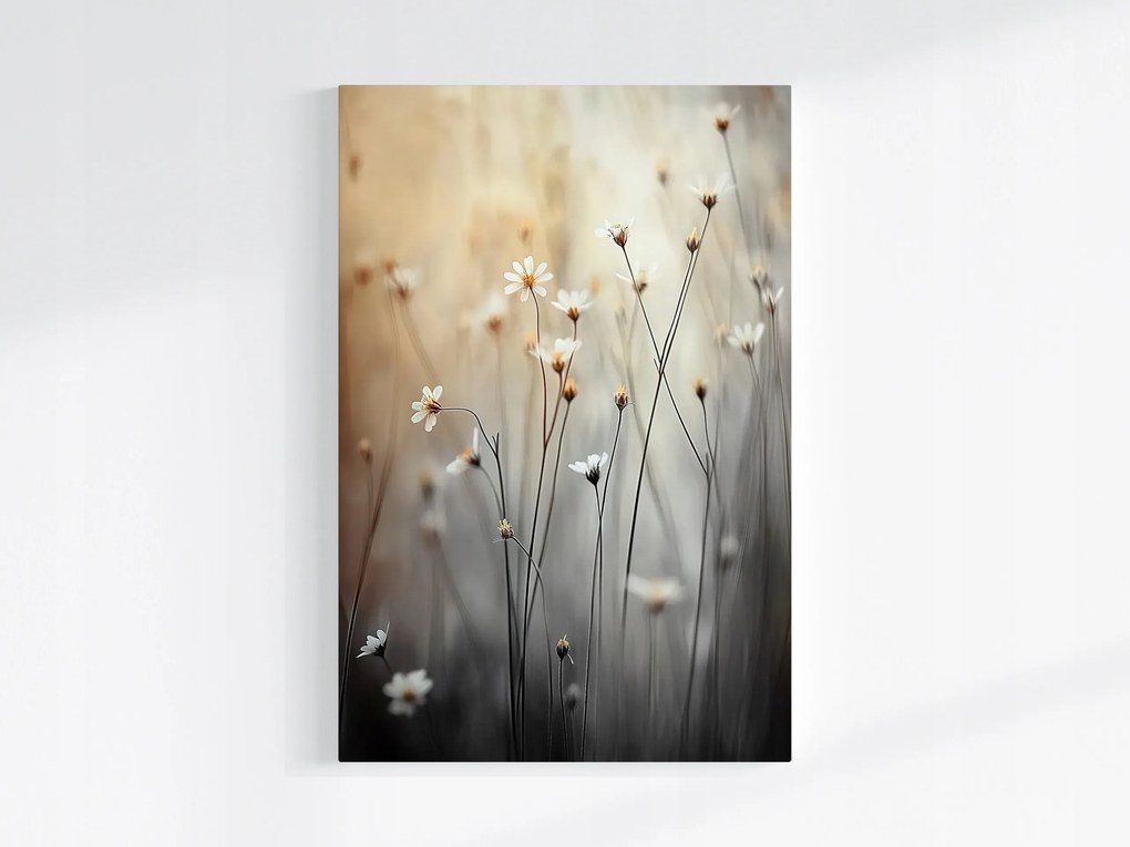 Poszter Reggel Rét Virágok Margaréta Kamilla Bokeh 40x60