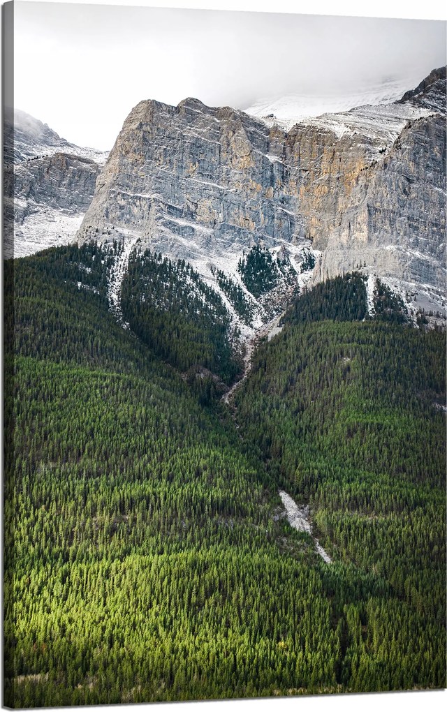 Vászonkép Természet Hegyi zátony erdő 50x80 cm