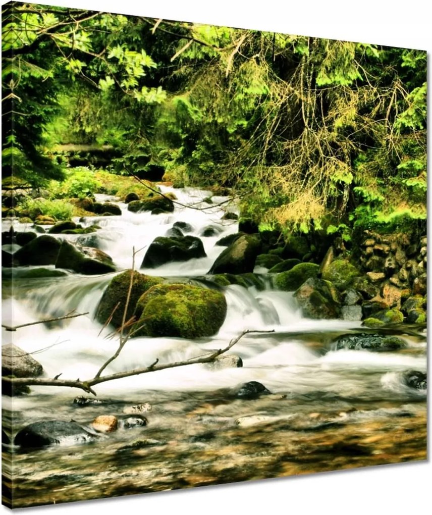 Vászonkép 40x40 Folyó a Tátrában