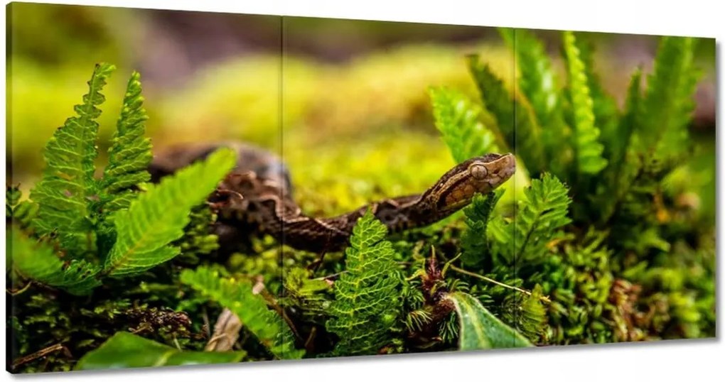 Vászonkép 180x90 Állatok