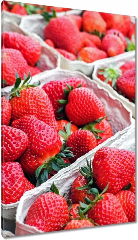 Festmények 80x120 Konyhai képek Forradalmak