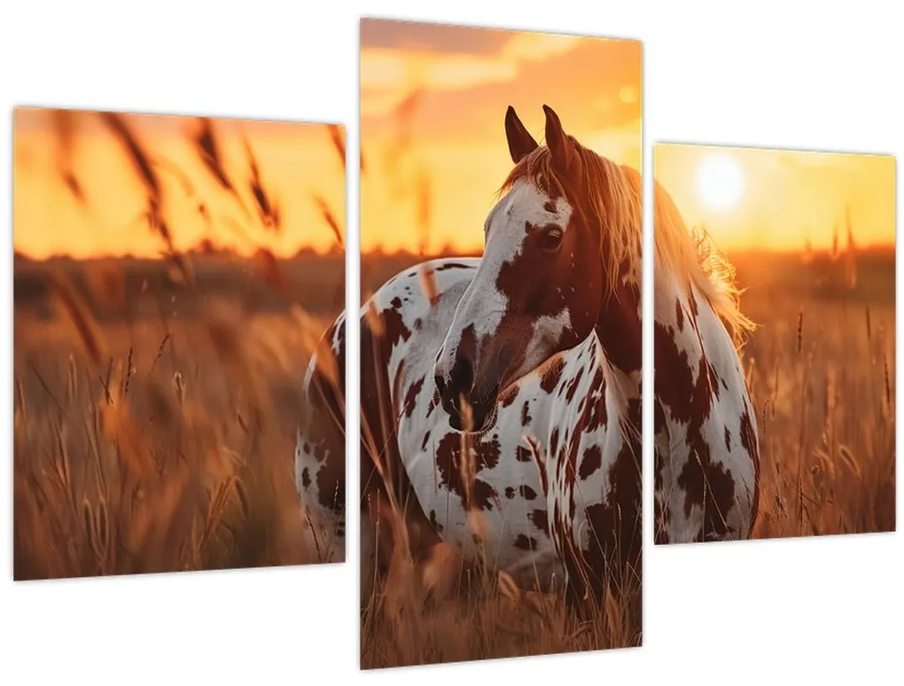 Kép - Ló naplementében (90x60 cm)